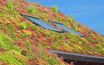 Epping Upland living roof systems